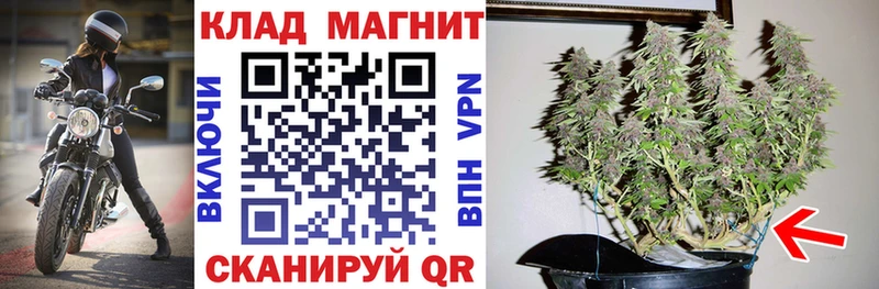 Какие есть наркотики Дно СК  АМФ  Псилоцибиновые грибы  Марихуана 