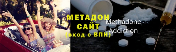 индика Арсеньев