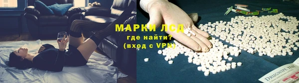 ешки Аркадак