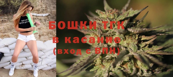 ешки Аркадак