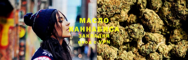 индика Арсеньев