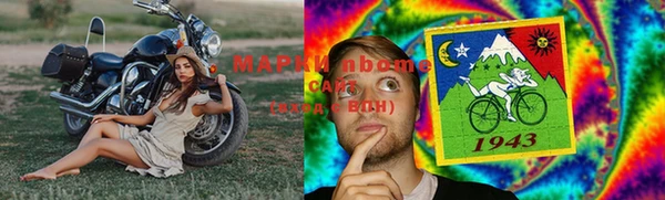 крисы Алзамай