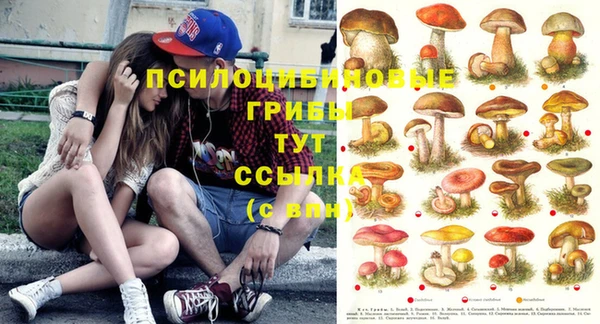 мет Алексин
