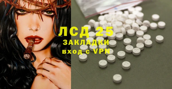 крисы Алзамай
