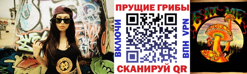 Псилоцибиновые грибы Cubensis  Дно 