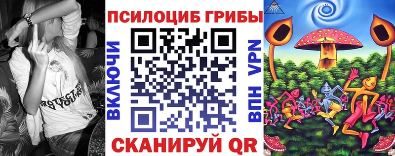 Галлюциногенные грибы Cubensis Дно