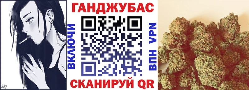 где купить наркоту  Дно  Бошки марихуана конопля 